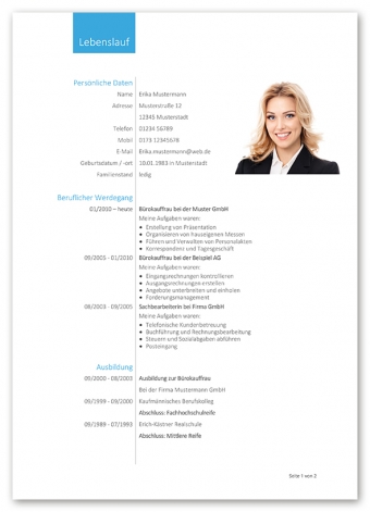 Lebenslaufdesign #4